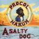 A Salty Dog (Deluxe Edition)